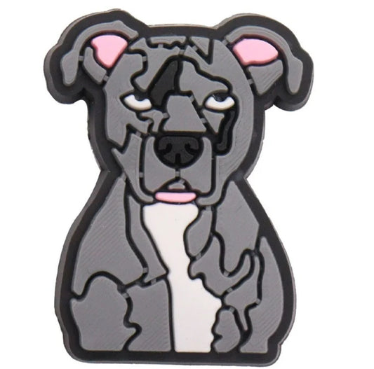 Dog 13