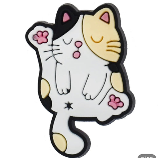 Cat 1