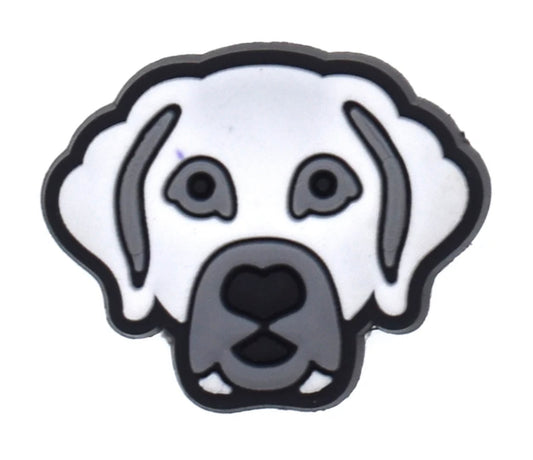 Dog 8